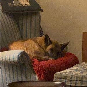 Meet your Posher, Kimmers